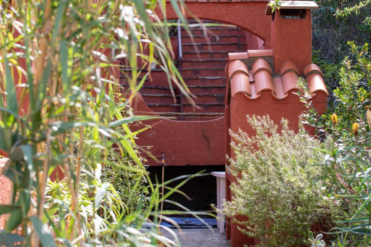 Villa Bougainvilliers Banyuls-sur-Mer Bagian luar foto