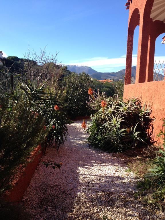 Villa Bougainvilliers Banyuls-sur-Mer Ruang foto