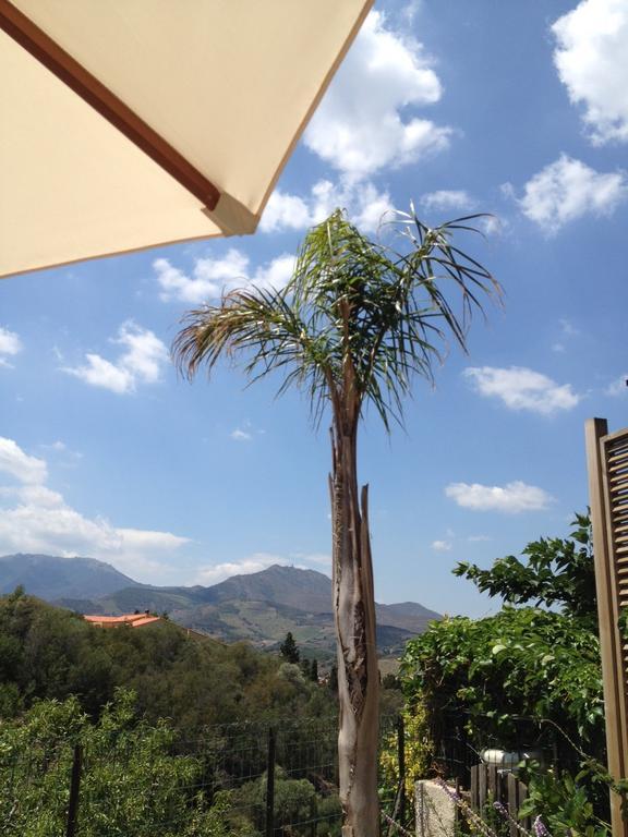 Villa Bougainvilliers Banyuls-sur-Mer Ruang foto