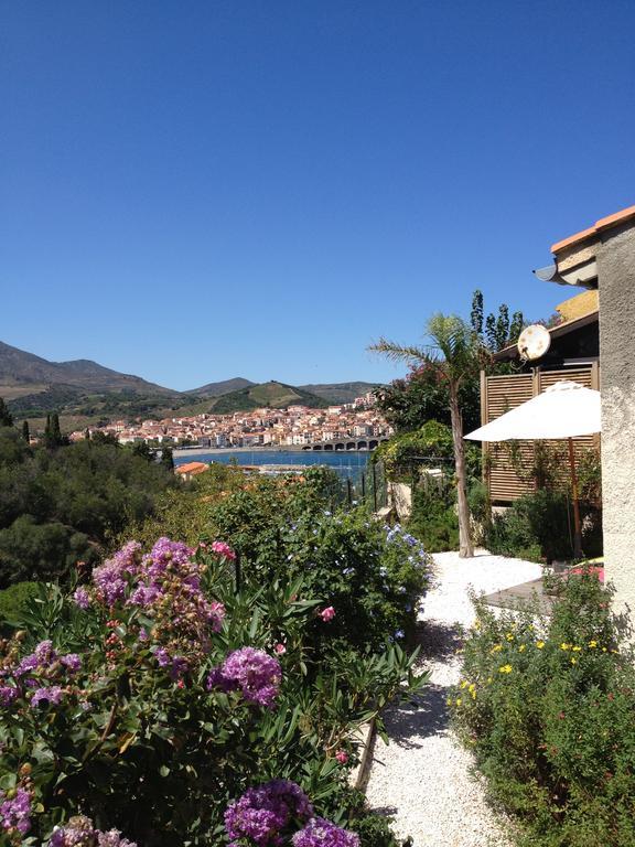Villa Bougainvilliers Banyuls-sur-Mer Ruang foto